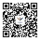 J9国际站备用 Vision Plus Capital